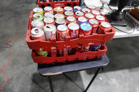 2 CASES COLLECTIBLE COKE CANS