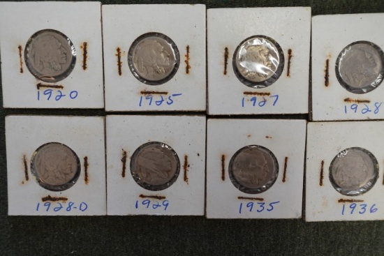 8 BUFFALO NICKELS 1920 1925 1927 2 1928 1929 1935 1936