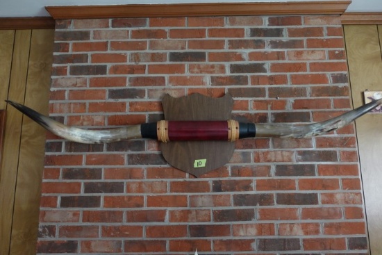 SET OF STEER HORNS MOUNTED ON PLAQUE APPROX 70 INCH LONG