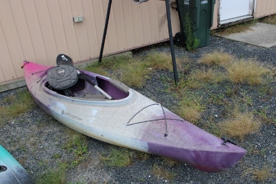 5309 10' Perception Kayak With Paddle