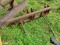 Hay Spear