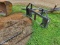Loader Forks