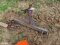 3pt Trailer Hitch