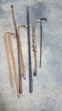 Walking Stick Lot