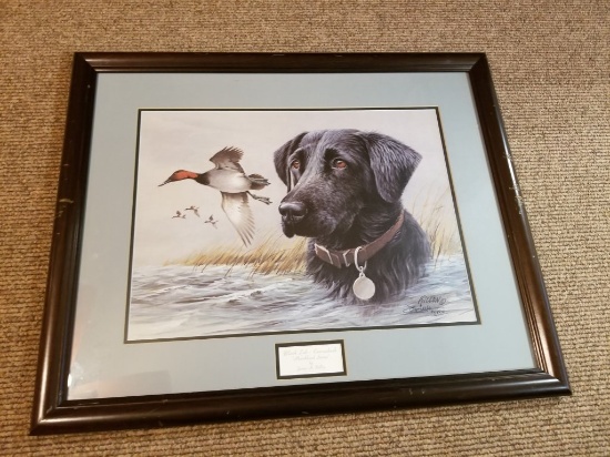Ducks Unlimited Print Black Lab-Canvasback