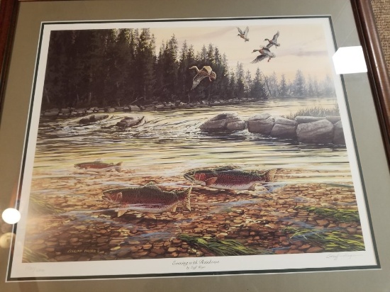 Ducks Unlimited "Evening with Rainbows" Print