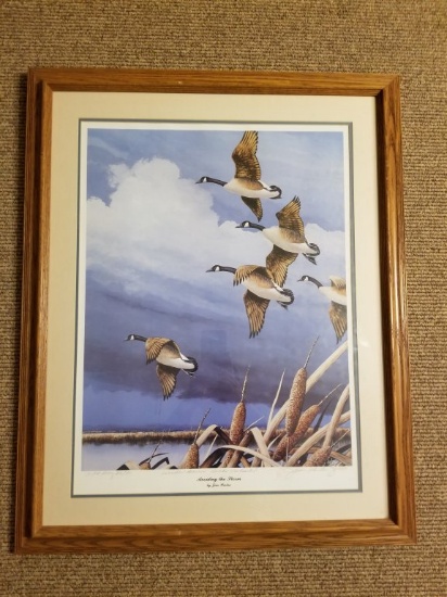 Ducks Unlimited Print " Avoiding The Storm "
