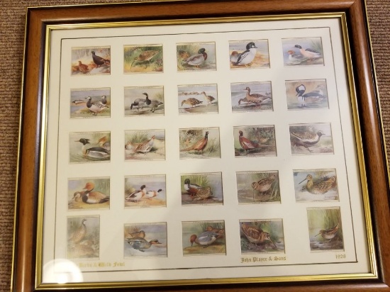 1928 Player Tabacco Game Birds & Wild Fowl Cards