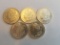 BU Morgan Dollar Lot of 5 coins