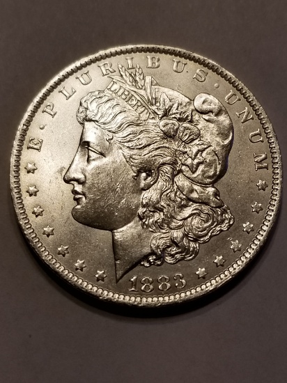 1883 Morgan Dollar MS65