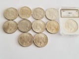 Lot Of 10 Choice BU Peace Dollar