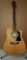 Wasburn D100 CE Acoustic/Electric Guitar