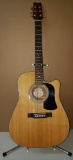 Wasburn D100 CE Acoustic/Electric Guitar