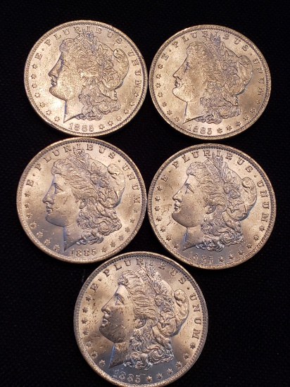 5- 1885 O Morgan Silver Dollars BU