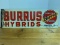 1950's Burrus Hybrid Seed Sign