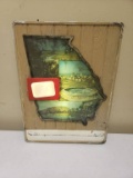 Light Up Georgia Priviledge Sign