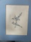 Unframed Bird Drawing Signed 