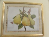 Framed Pear Print Signed 22 3/4 