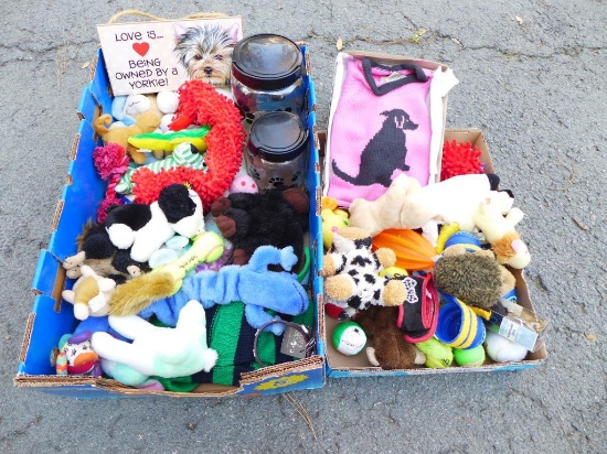 Assorted Pet Toys & Clothes
