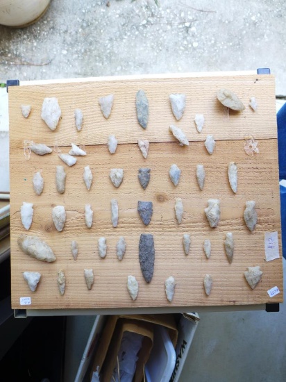 (47) Arrowheads found on Long Island along the