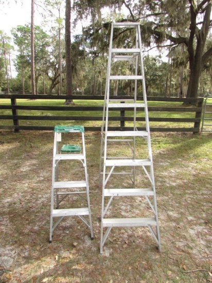 Werner 4' Aluminum Step Ladder and 8' Aluminum