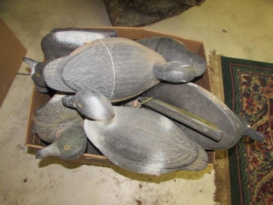 (16) Plastic Duck Decoys