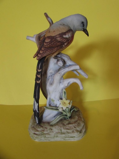 Andrea by Sadek Scissor-Tailed Flycatcher