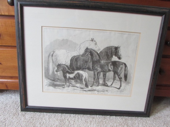 Framed & Matted Steel Engraving by Sam Carter