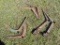 (6) Cultivator Shanks - (2) Siding Shanks,