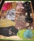 (13) Ladies Scarves