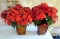 (2) Artificial Poinsettas in Planters