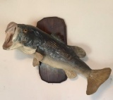 Mounted Largemouth Bass