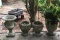 (4) Concrete Planters—(2) with Plants