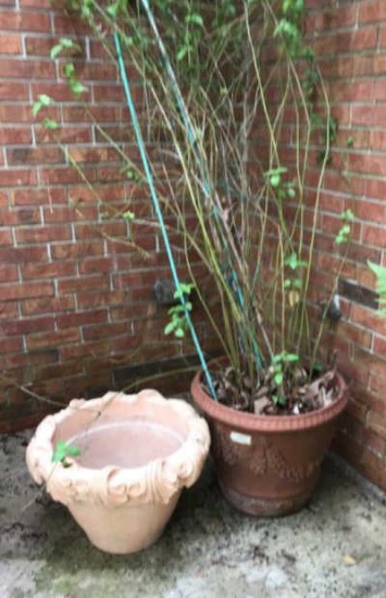 (2) Decorative Terra Cotta Planters—(1) with