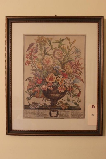 Framed & Matted Botanical Lithograph Engraved by