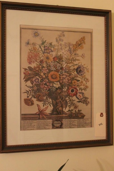 Framed & Matted Botanical Lithograph Engraved by
