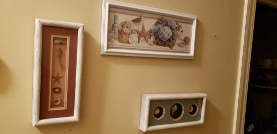 (3) Framed Shell Themed Items: (2) Shadow Boxes