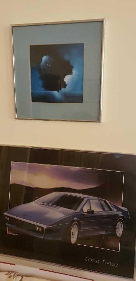 (2) Pictures: 28" x 22"