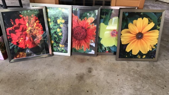 (5) Framed Pictures--17 3/4" x 22"