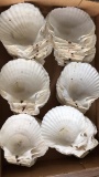 Box of Baking Shells