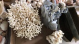 Box of Assorted Coral