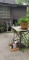 (2) Potted Plants, Potting Table, Assorted Water