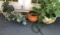 (4) Plants:  One Jade Plant in Ceramic Pot with