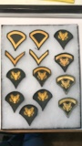 Vietnam War Era Original Dress Uniform Rank