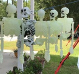 (5) Hanging Plastic Skeleton’s