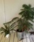 (2) Potted Plants