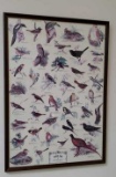Framed Print--Birds of Field and Garden--27