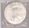 2004 One Dollar One Ounce Silver Eagle Bullion