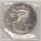 1989 One Dollar One Ounce Silver Eagle Bullion