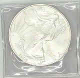 2006 One Dollar One Ounce Silver Eagle Boullion